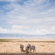 Illustration for article titled The Winning Images From iNational Geographic/is 2014 Photo Contest